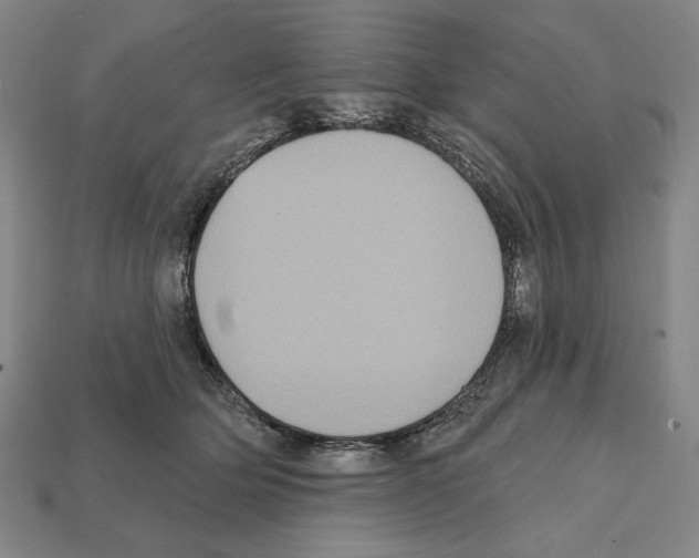 X0000112030514200909141059