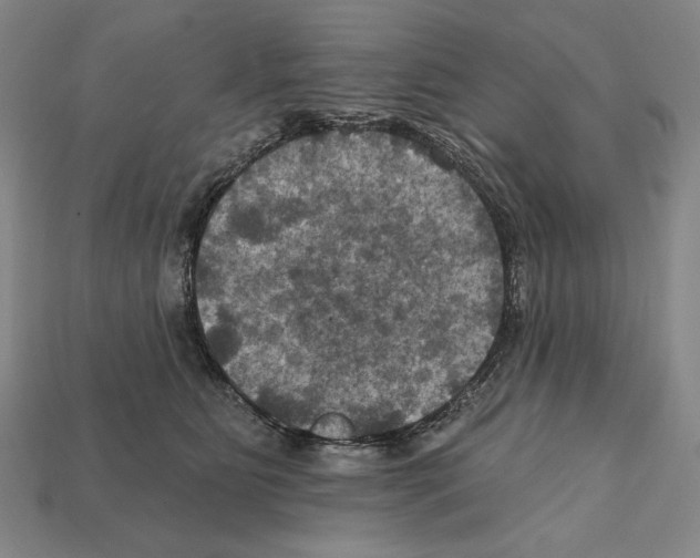 X0000112030515200909141059