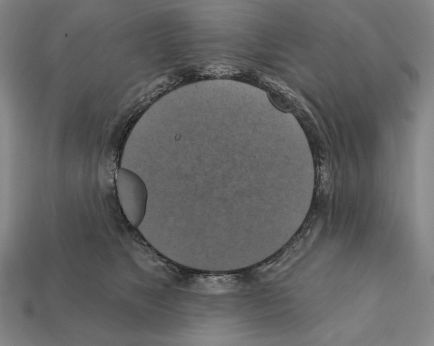 X0000112030517200909141059