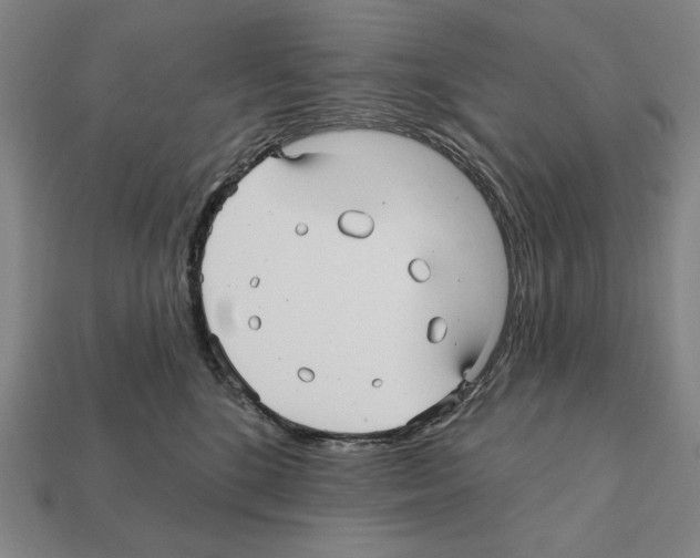 X0000112030520200909141059