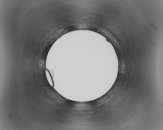X0000112030521200909141059