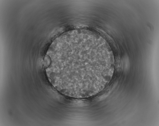 X0000112030523200909141059