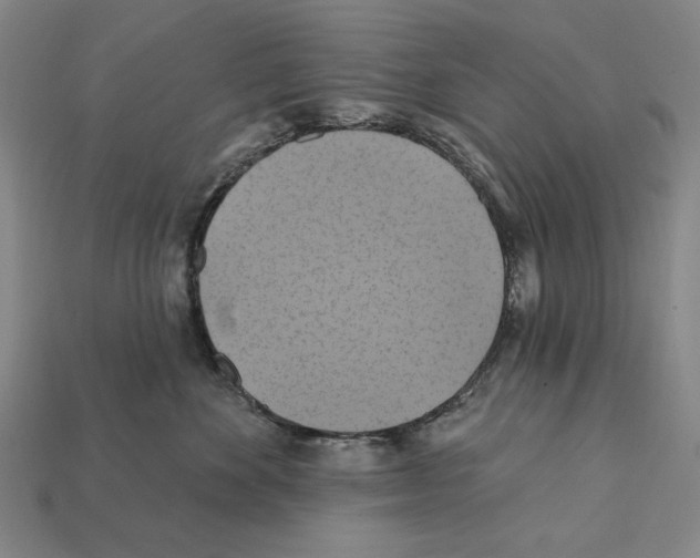 X0000112030524200909141059