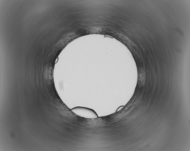 X0000112030525200909141059