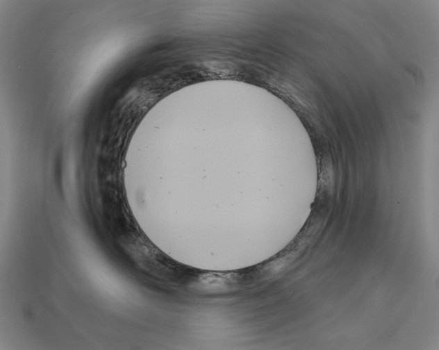 X0000112030526200909141059