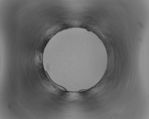 X0000112030528200909141059