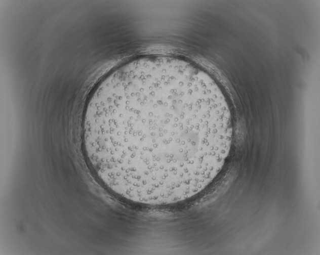 X0000112030529200909141058