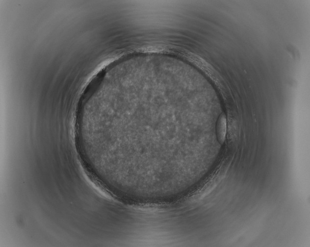 X0000112030530200909141058