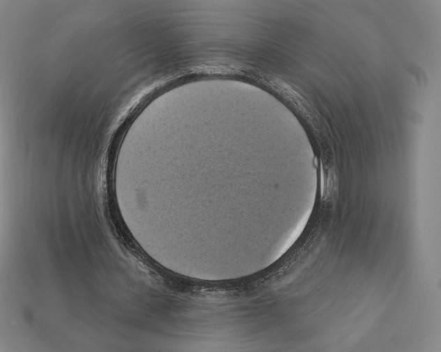 X0000112030531200909141058