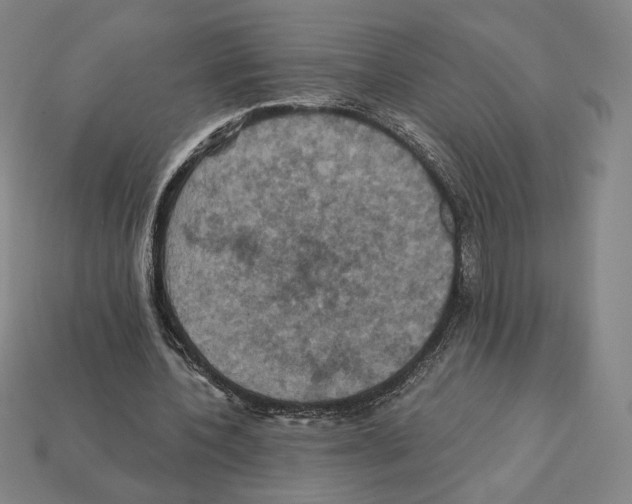 X0000112030532200909141058