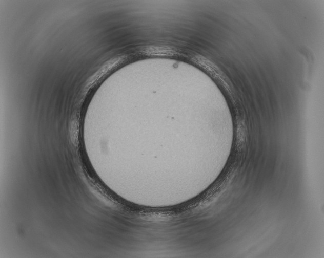 X0000112030533200909141058