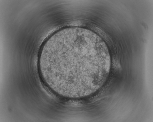 X0000112030534200909141058