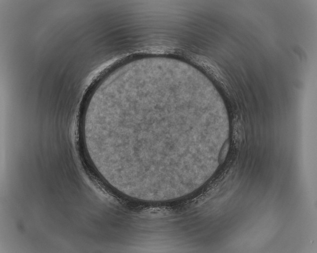 X0000112030536200909141059