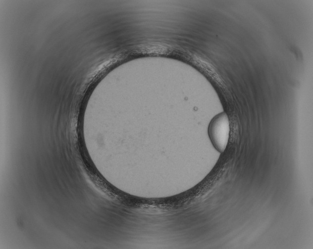 X0000112030538200909141059