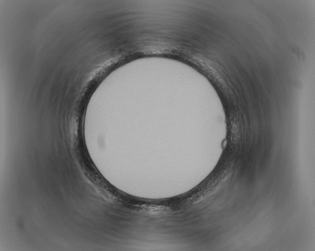 X0000112030539200909141059