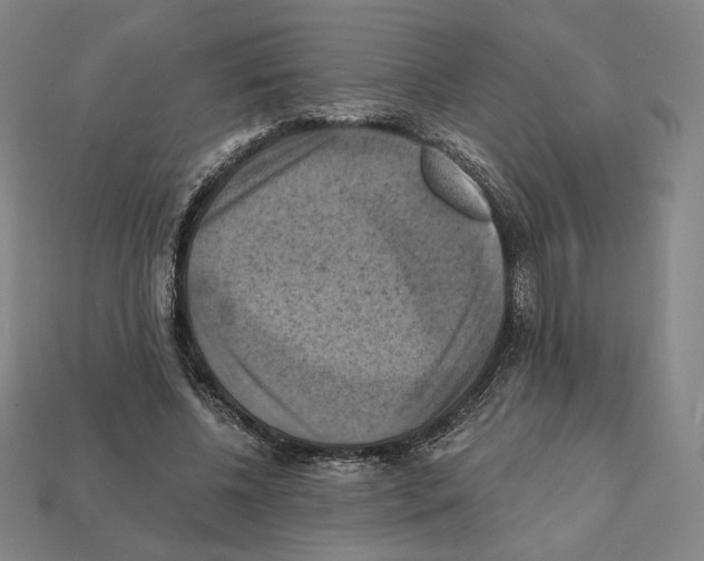 X0000112030540200909141059