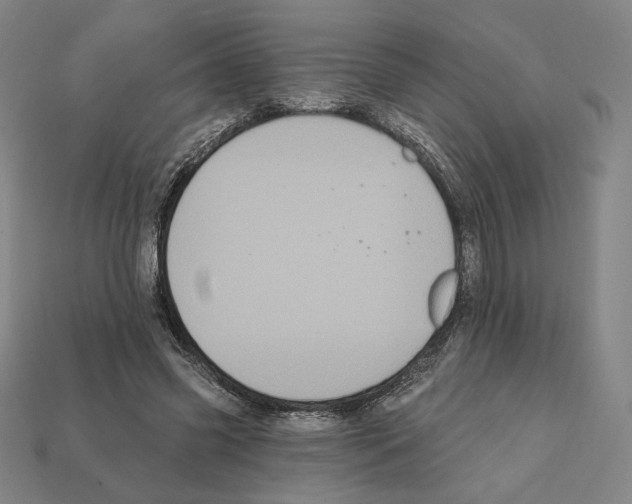 X0000112030541200909141059
