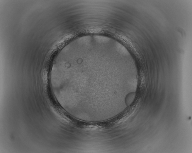 X0000112030542200909141059