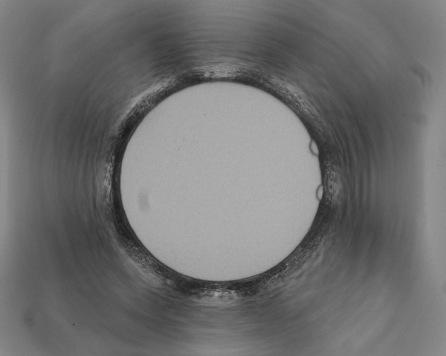 X0000112030543200909141059