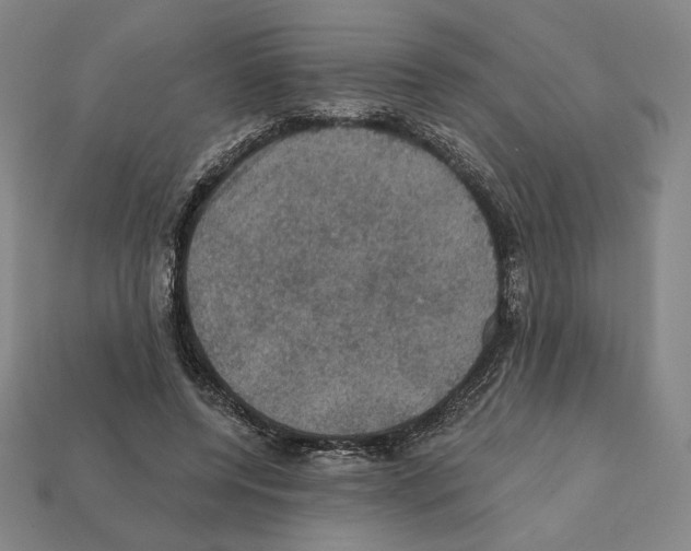 X0000112030544200909141059