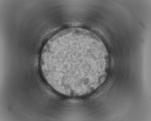 X0000112030545200909141059