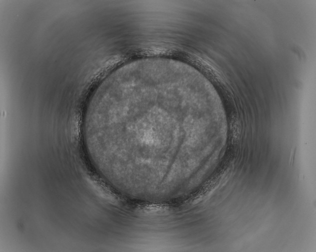 X0000112030546200909141059
