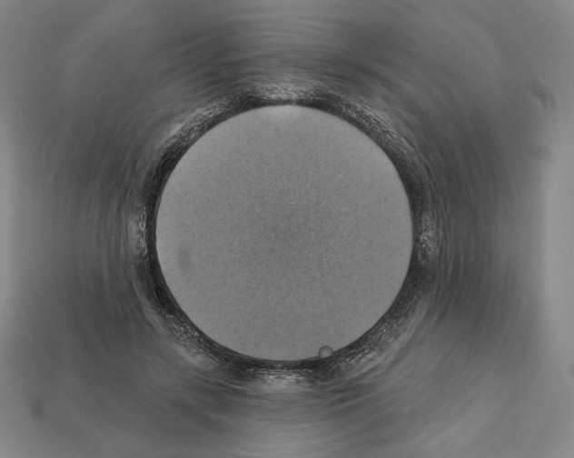 X0000112030547200909141059