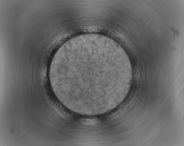 X0000112030548200909141059