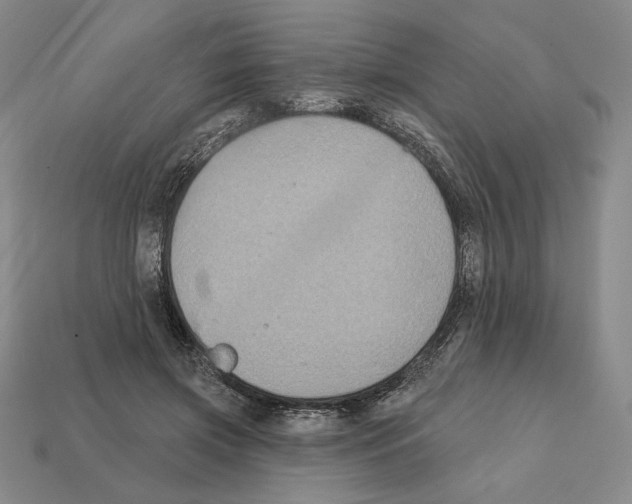 X0000112030549200909141059