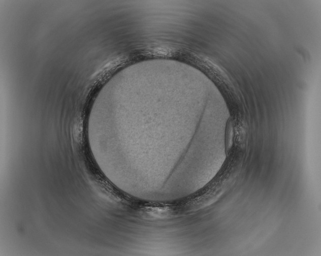 X0000112030552200909141059