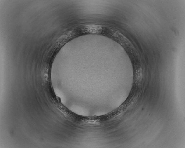 X0000112030553200909141059