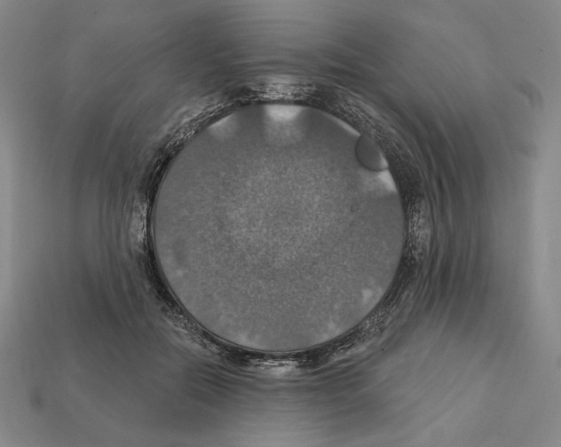 X0000112030554200909141059