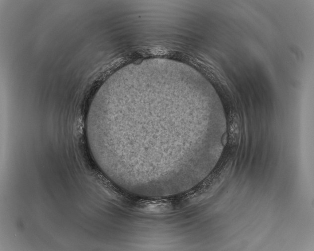X0000112030555200909141059