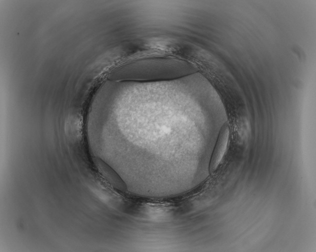 X0000112030556200909141059