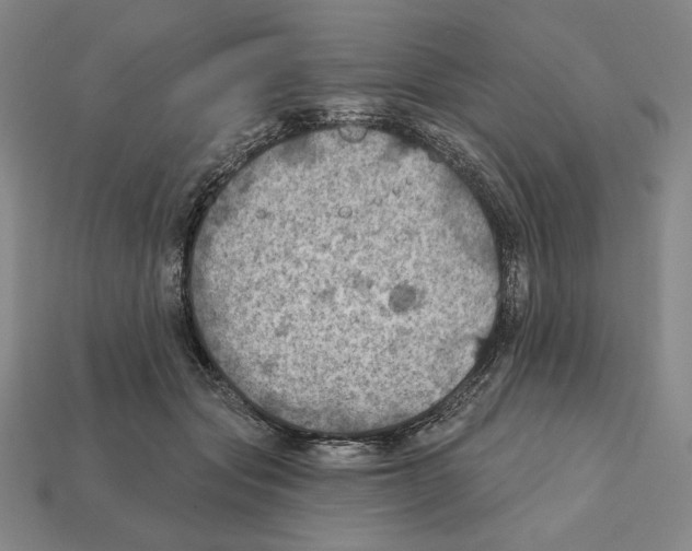 X0000112030557200909141059