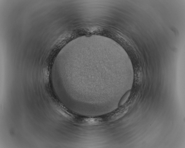 X0000112030558200909141059