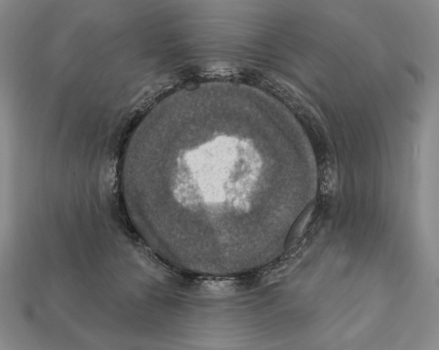 X0000112030560200909141059