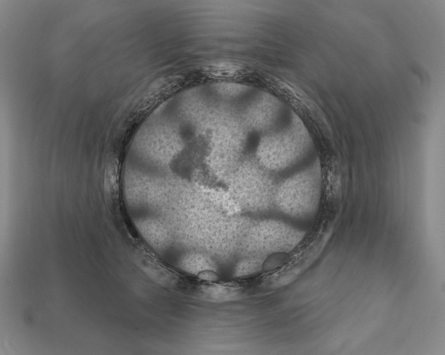 X0000112030561200909141059