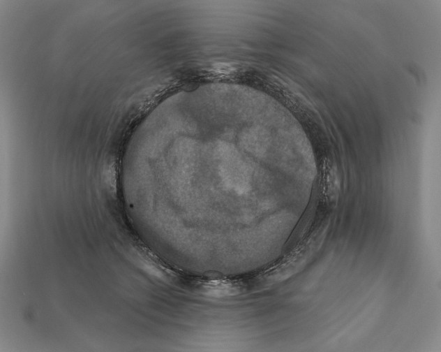 X0000112030562200909141059