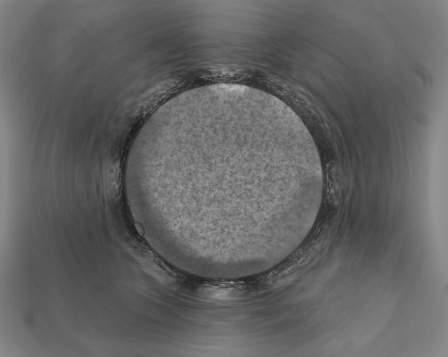 X0000112030563200909141059
