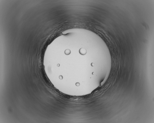 X0000112030564200909141059