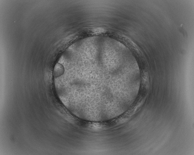 X0000112030565200909141059