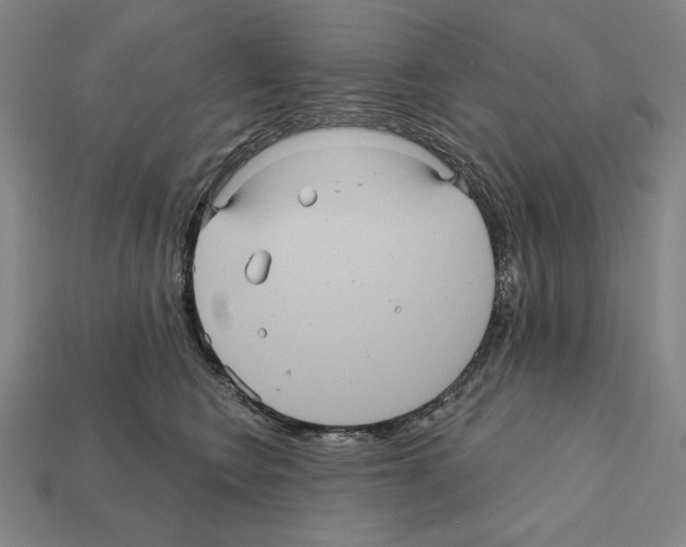 X0000112030566200909141059