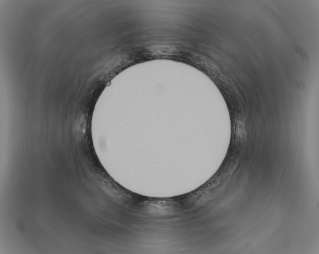 X0000112030567200909141059