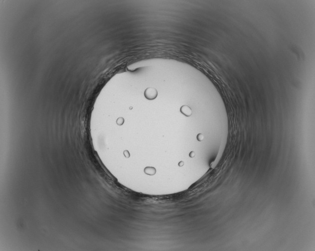 X0000112030568200909141059