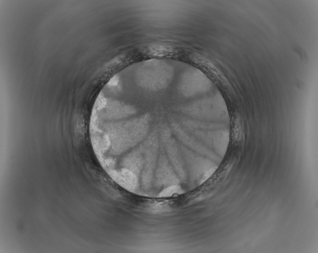 X0000112030569200909141059