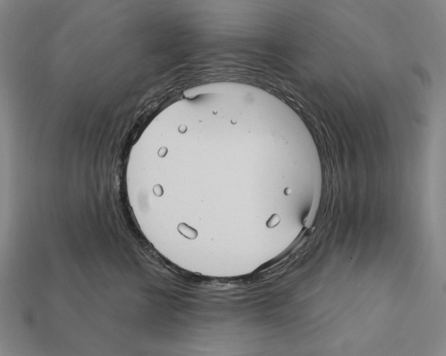 X0000112030570200909141059