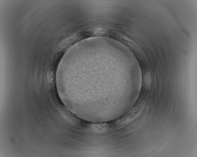 X0000112030571200909141059