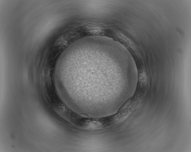 X0000112030572200909141059