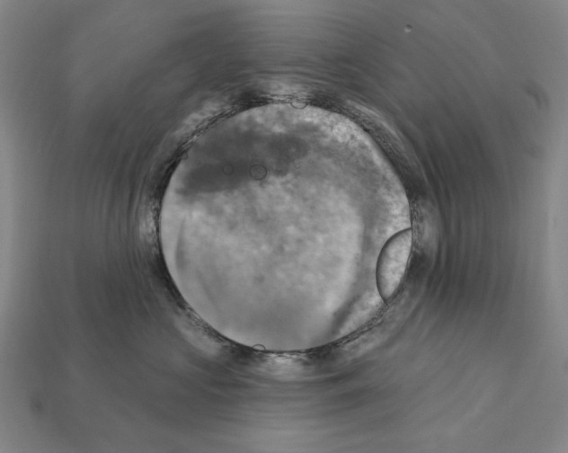 X0000112030573200909141059